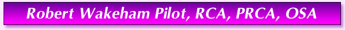 Robert Pilot Title